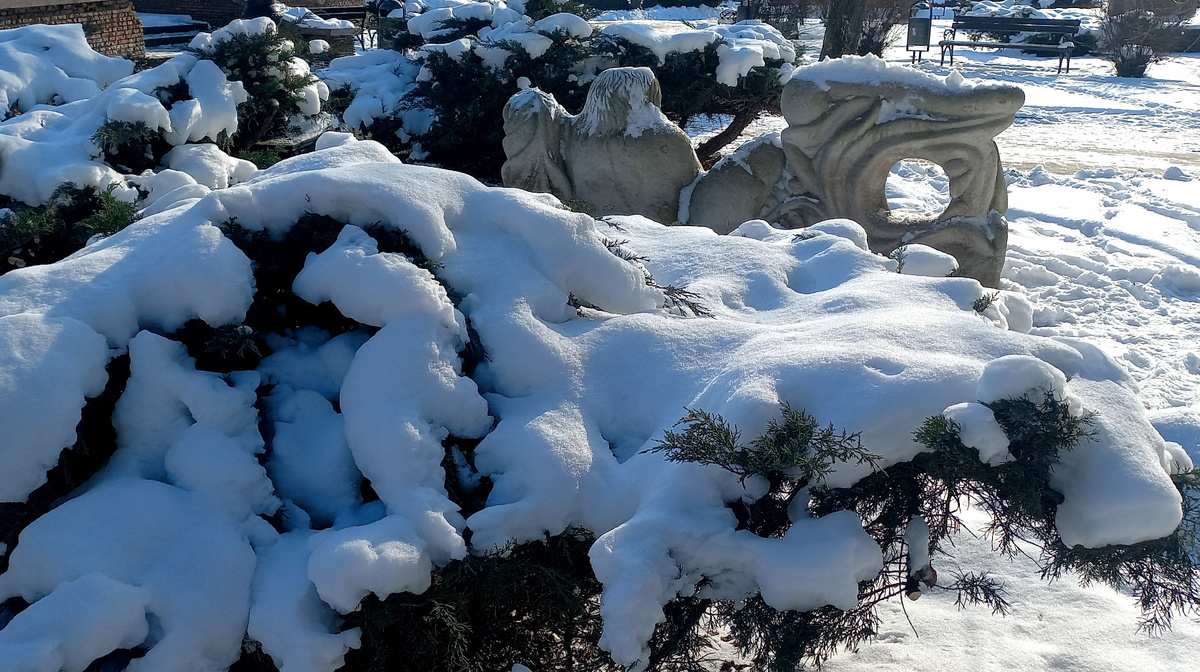 Донецк в снегу. Январь 2026