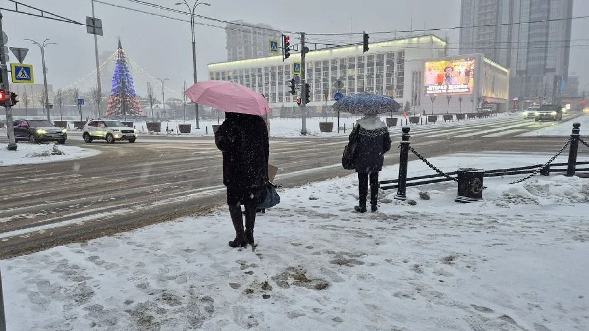    Фото: телеканал «Краснодар»