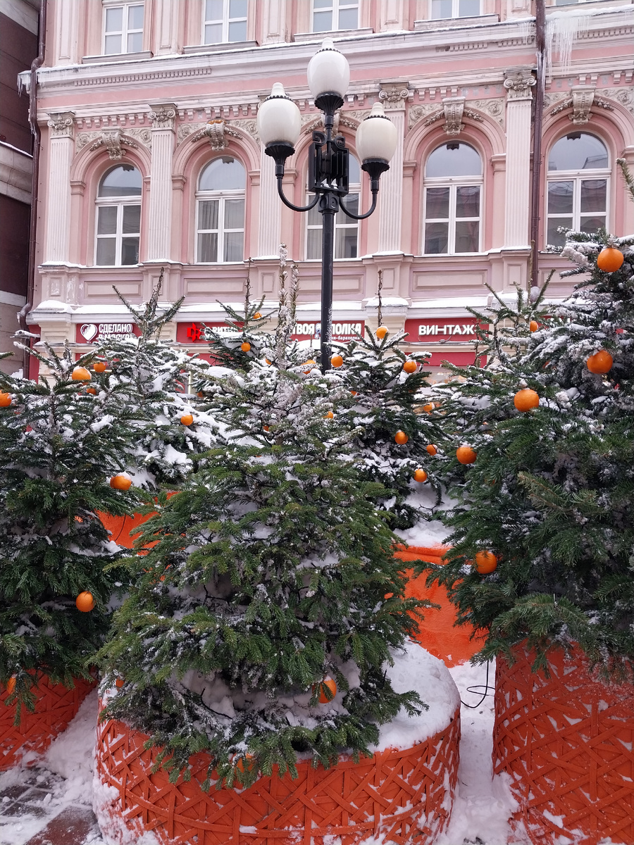 Нарядные вазоны. Ёлочки украшены шариками-мандаринками. Фото автора