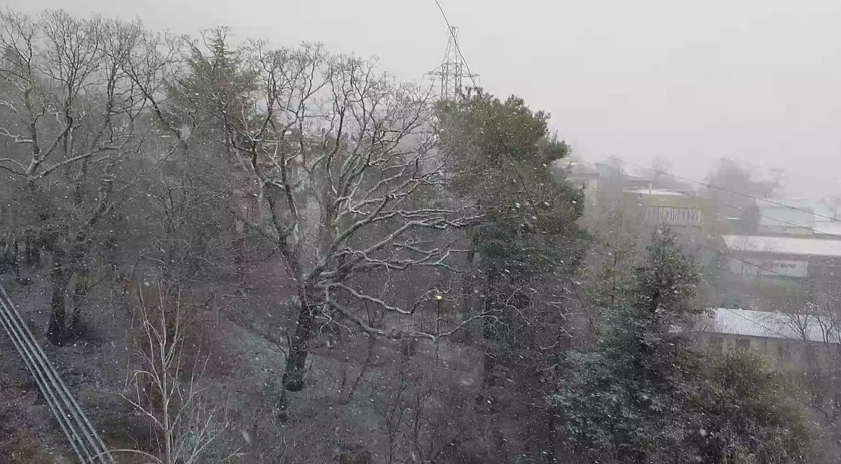 Снегопад. Даже у нас бывает зима:))