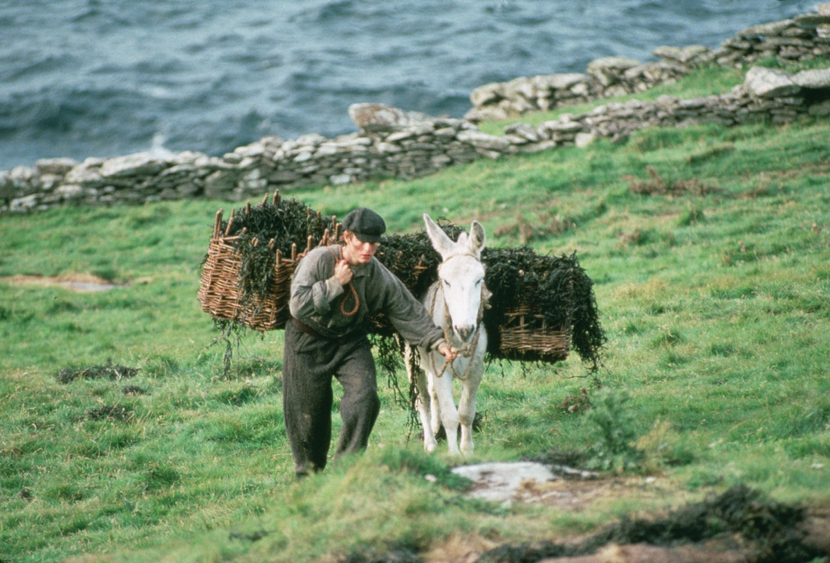 Джозеф жил жизнью простого трудяги-фермера, пока в его дом не пришла беда