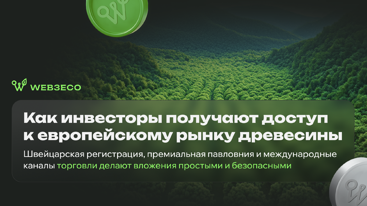 Как инвесторы получают доступ к европейскому рынку древесины. Швейцарская регистрация, премиальная павловния и международные каналы торговли делают вложения простыми и безопасными