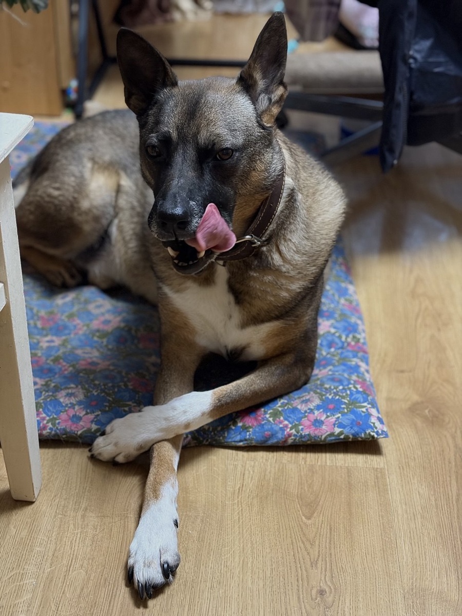 Коронная поза Степана.