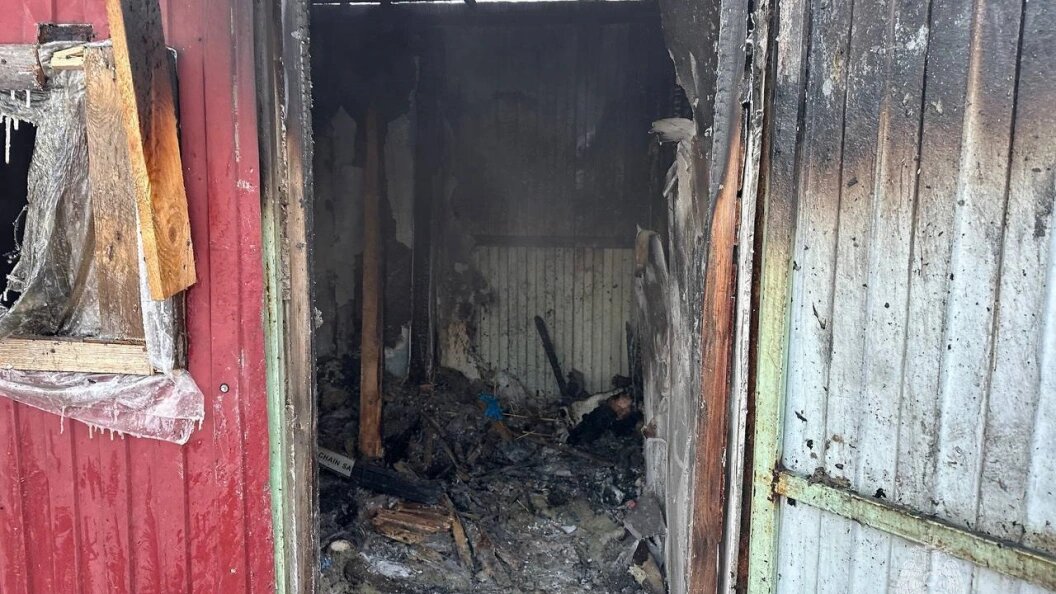    МЧС России по Московской области