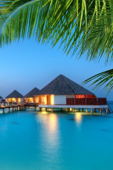 Из интернета 