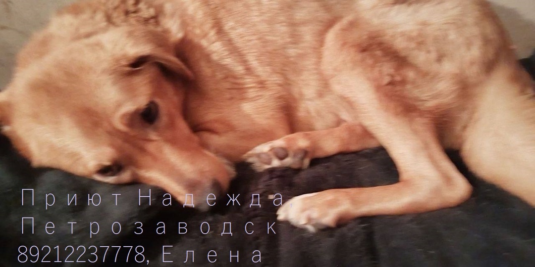 Тася. Ваша помощь делает невозможное возможным.