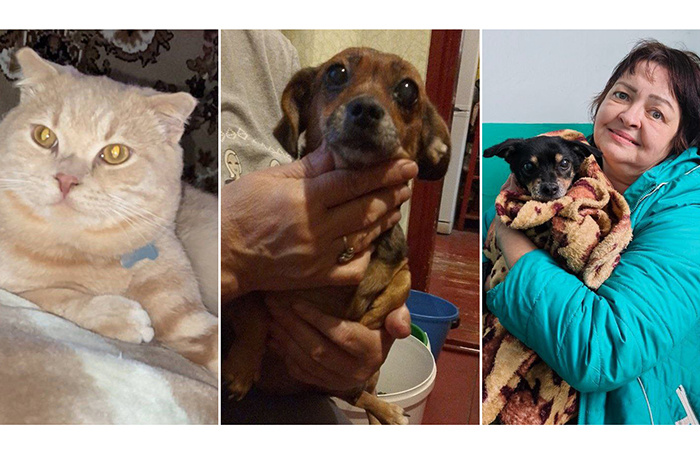 Фото 1 - Больше месяца ушло у тихоречанина, чтобы приручить Мурзика и узнать номер телефона его владельцев. Фото 2 - такса Тося. Фото 3 - Старенький Боня воссоединился с хозяйкой: счастье чувствуется даже через фото.