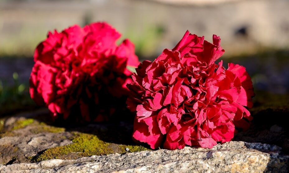 В возрасте 56 лет умер экс-футболист «Спартака» Артур Шамрин. Фото: Global Look Press