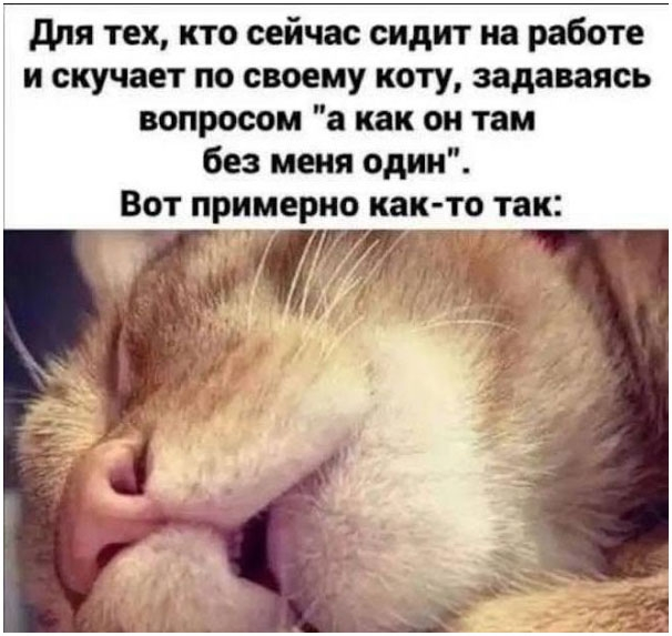 Картинка взята из открытого доступа в сети Интернет