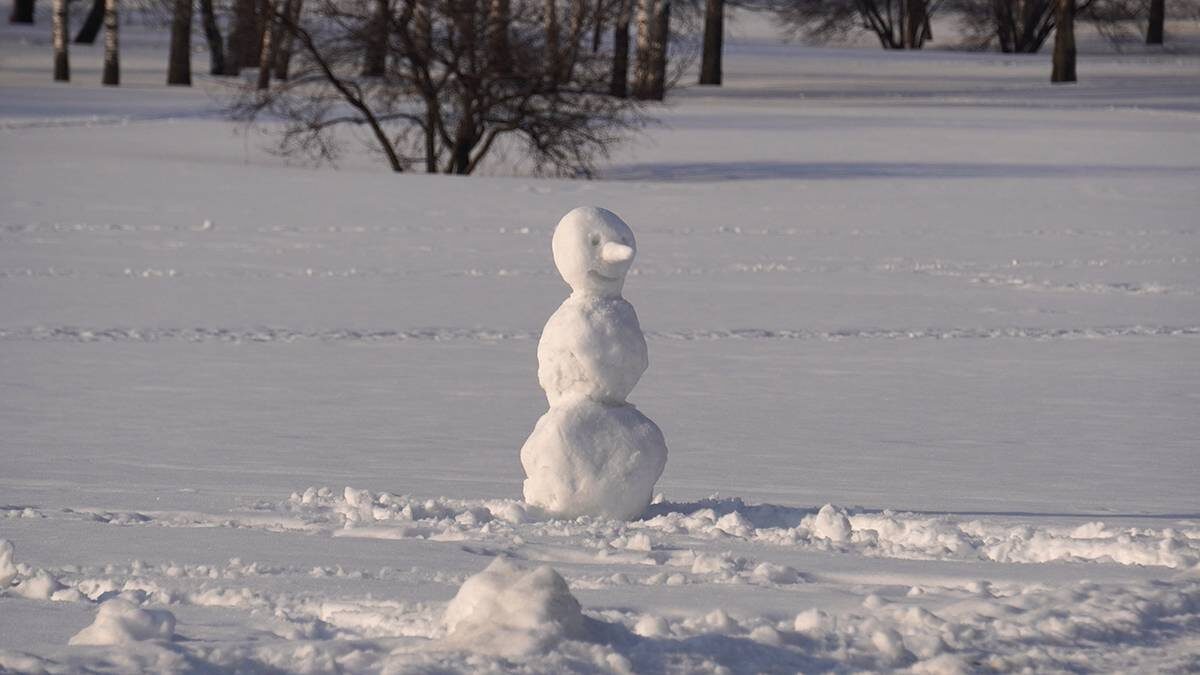    Фото: Анатолий Цымбалюк / Вечерняя Москва