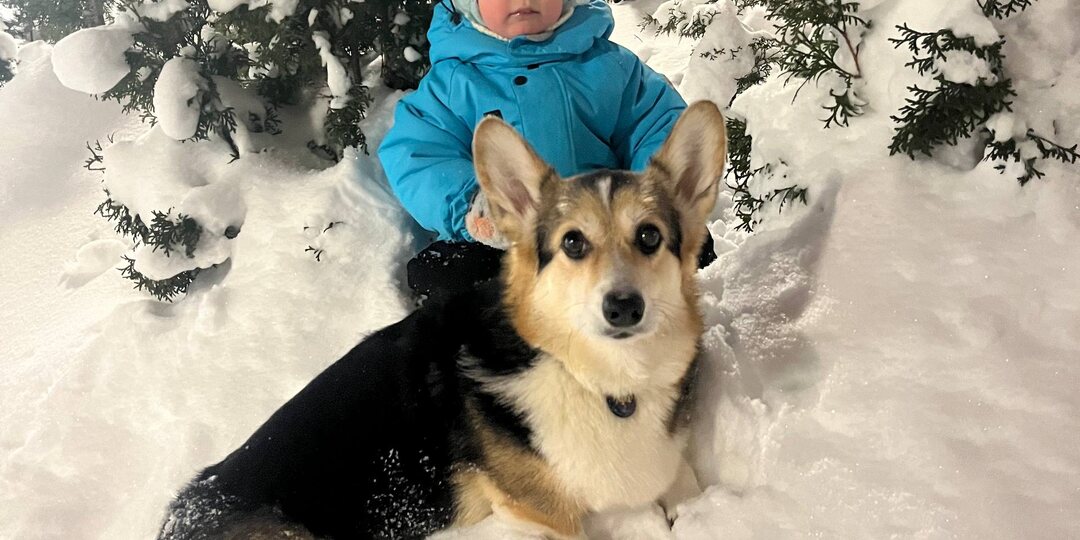 Не забывайте на выходных о прогулке по вечерам