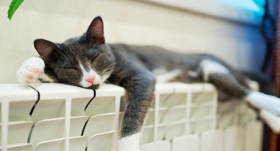    istockphoto.com/avtk