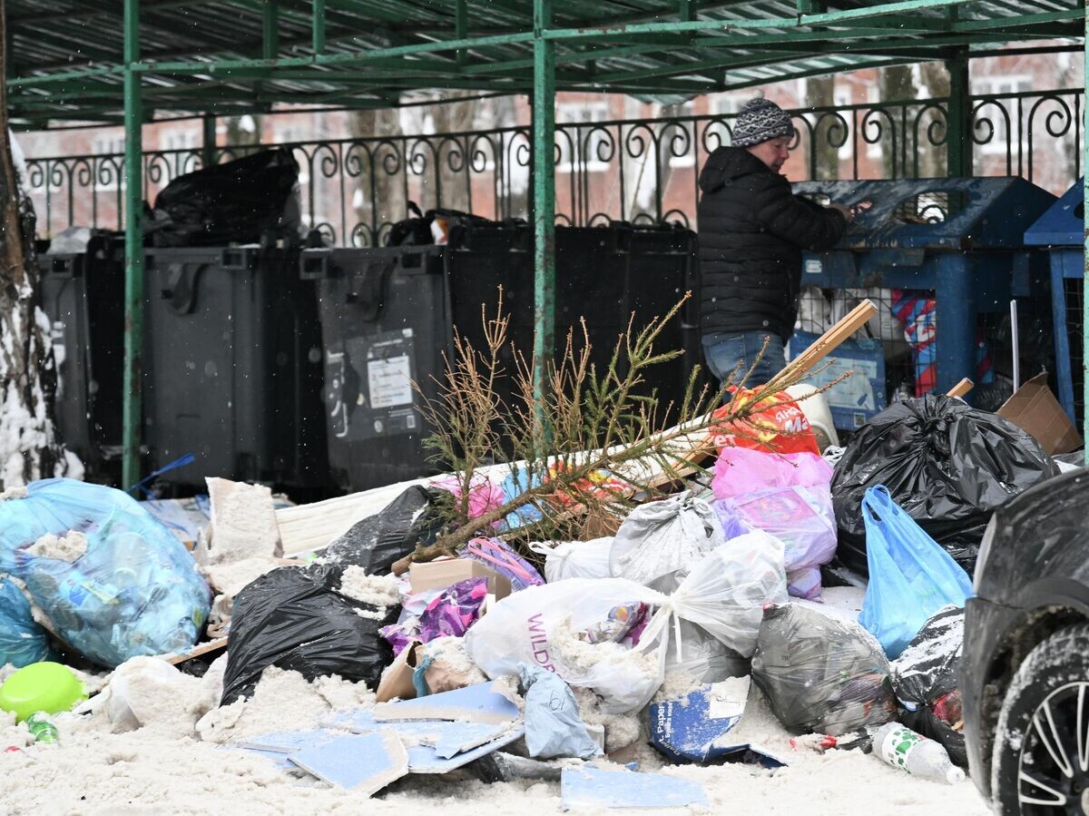    Ситуация с вывозом мусора в Подмосковье© РИА Новости . Кристина Кормилицына