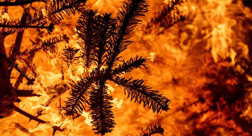    Stefan Sauer/dpa / www.globallookpress.com