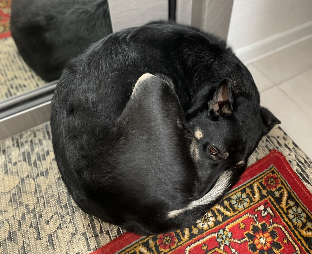 Первые дни я практически постоянно лежал именно так. Было страшно и непонятно, что я могу делать и что и как мне могут сделать