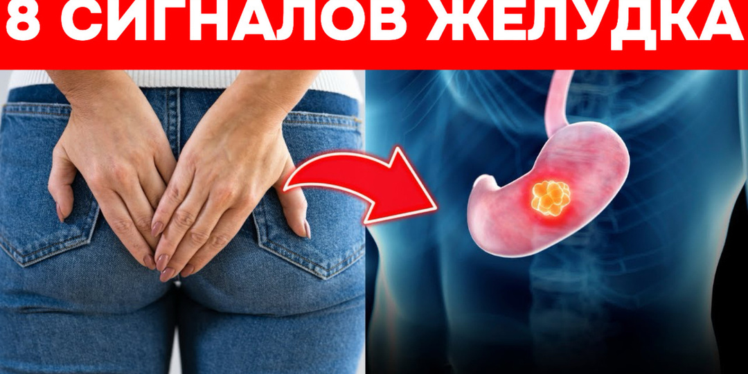 Почему тяжесть после еды — тревожный сигнал зимой