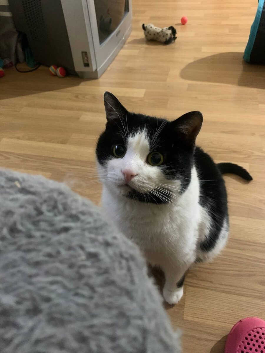 Феденька интересуется: "Вы точно не за мной?"