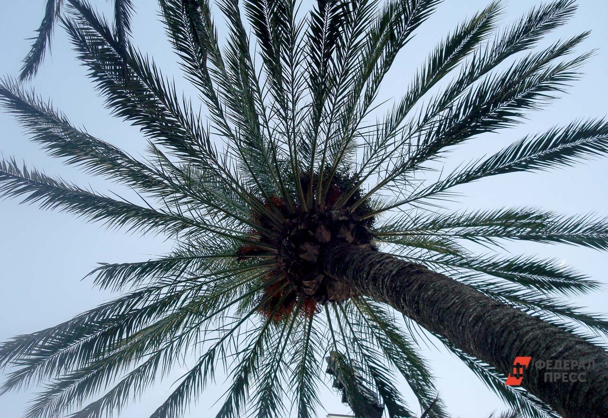 Женщина осталась довольна отдыхом.  Фото: ФедералПресс / Ксения Медведева