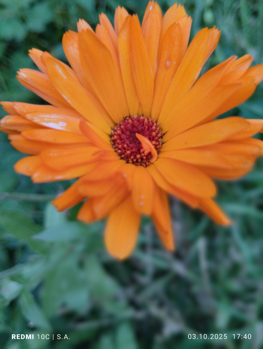 Фото: @Сафия Лисовская 