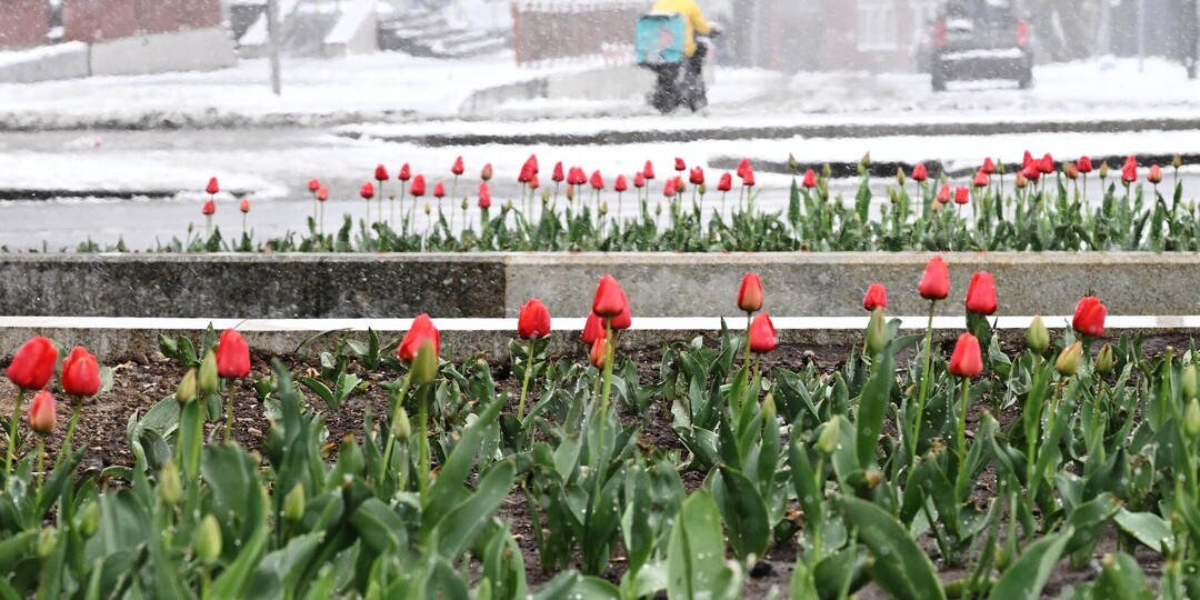 Почему весенние перемены работают, когда новогодние обещания уже забыты