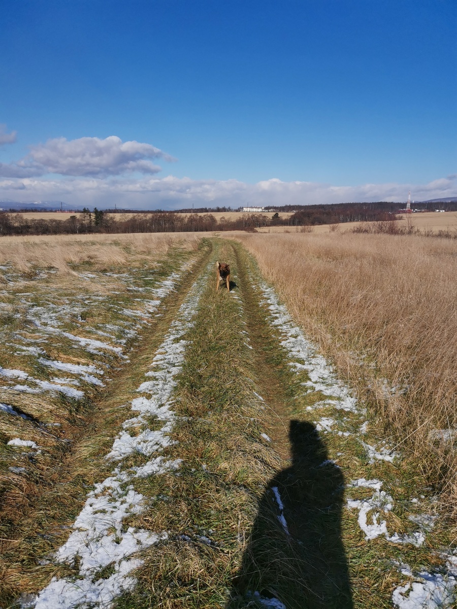 Вид на север