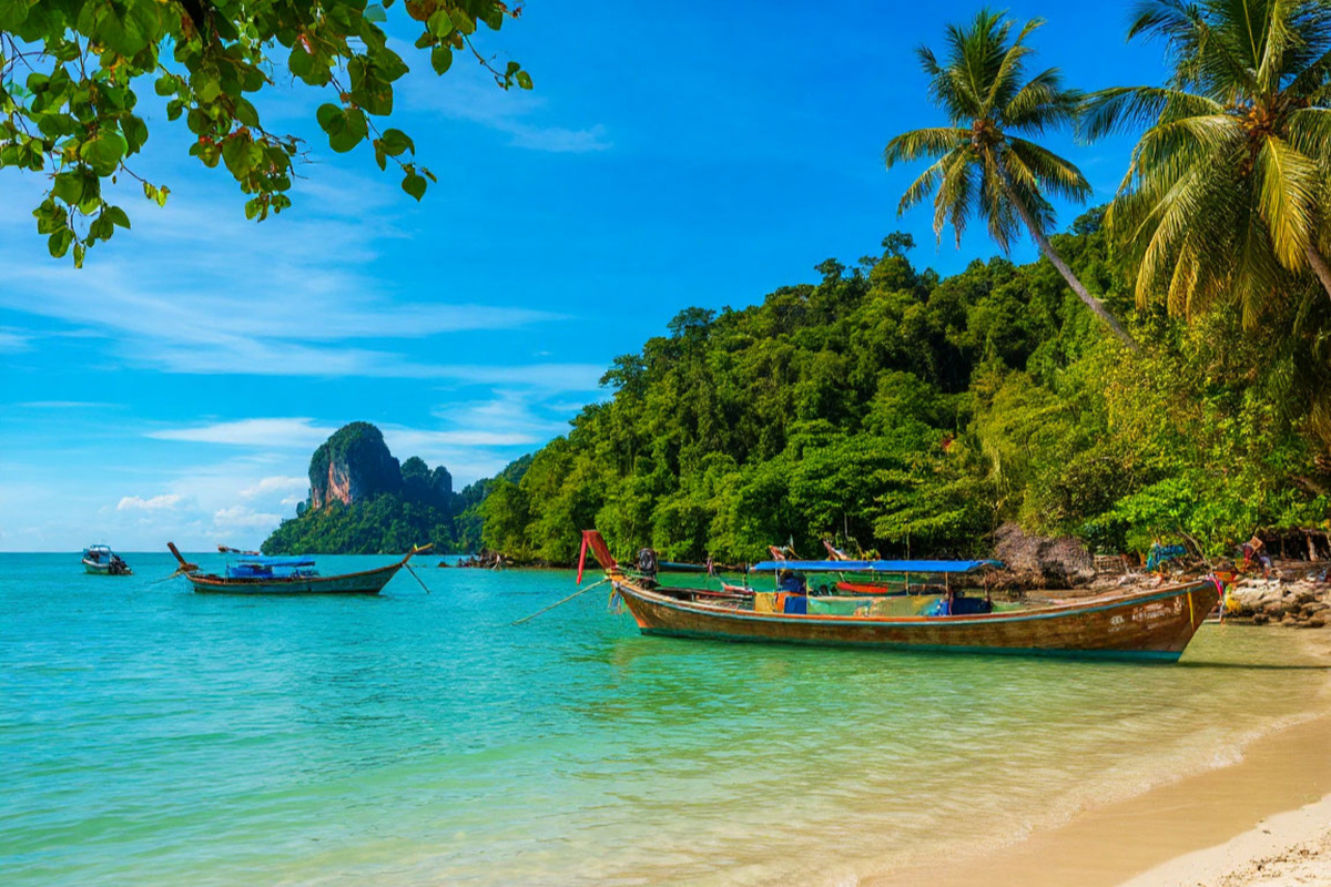    Фото: коллаж RuNews24.ru