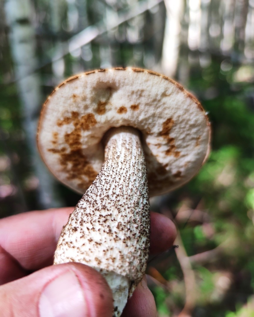 Серия фото автора