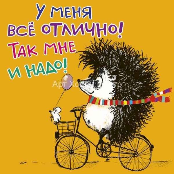 Ёжик в тумане