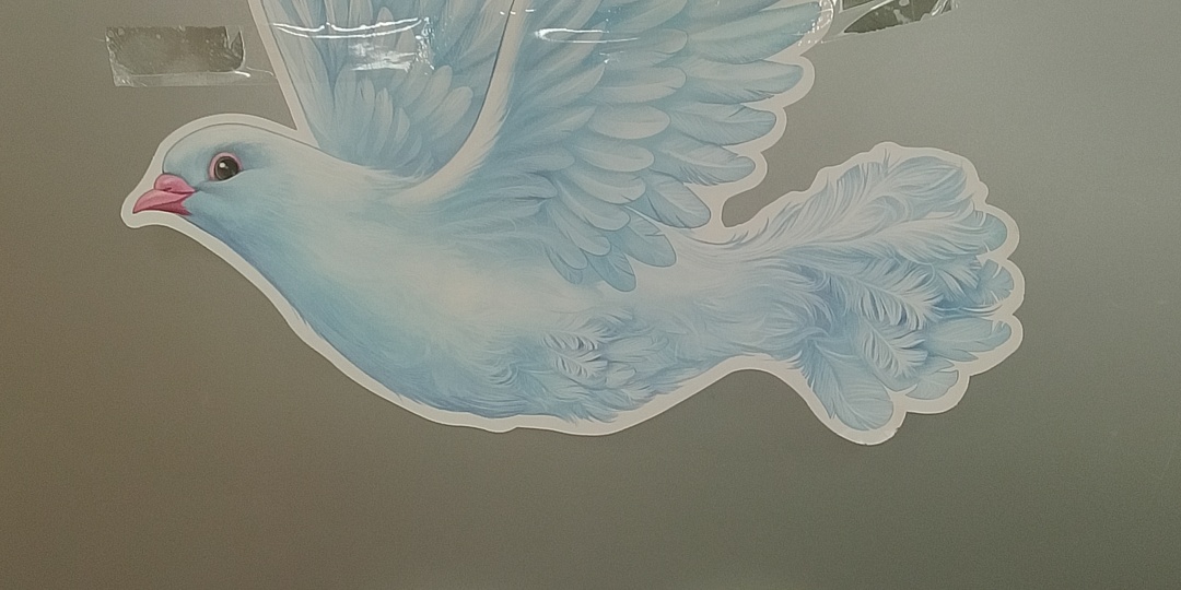 Эффект бабочки.