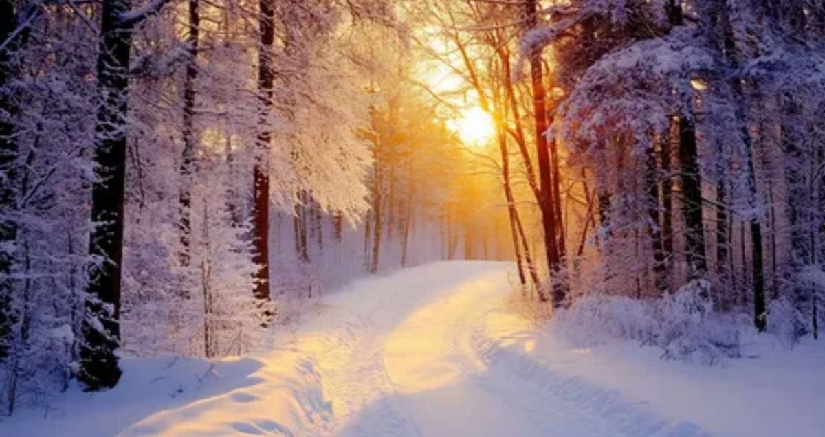 Для обложки