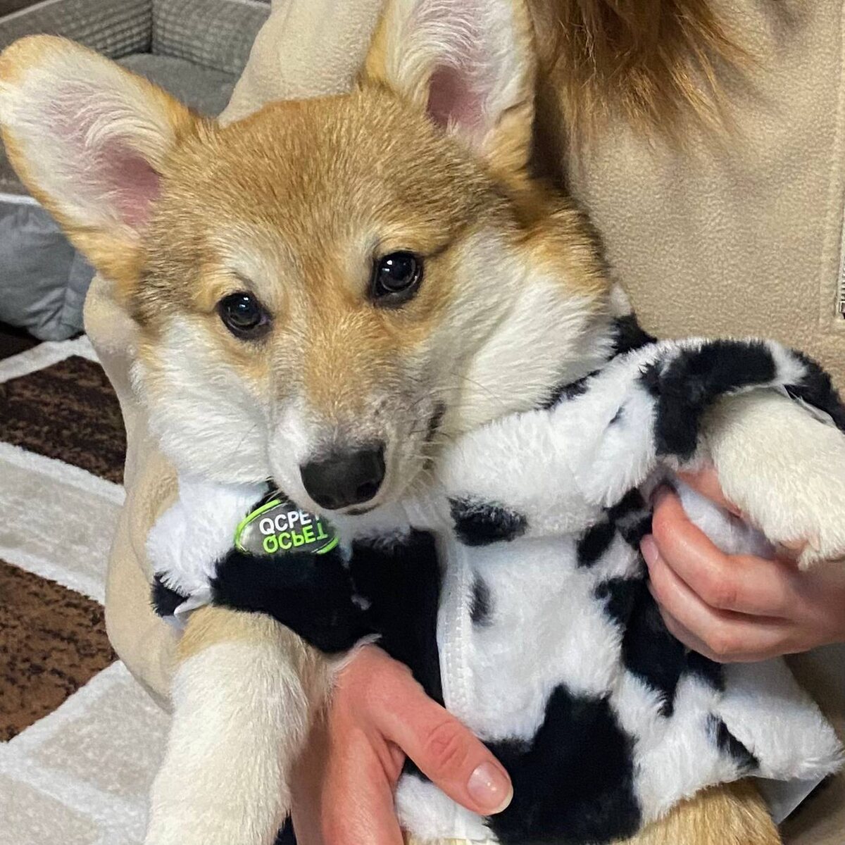 В статье использованы фото Алёны З.