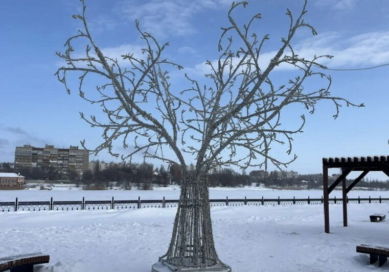    Фото пресс-службы администрации Камышина
