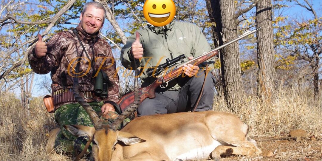 Импала из #зимбабве