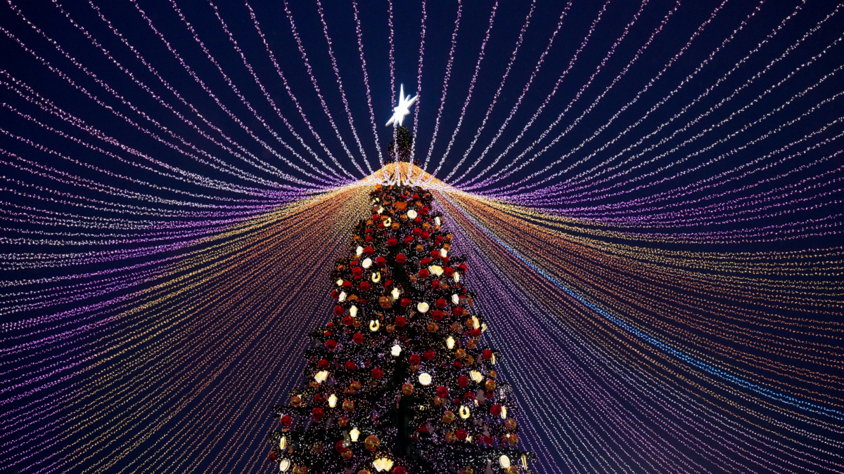 Светлана Мулыкина📷
