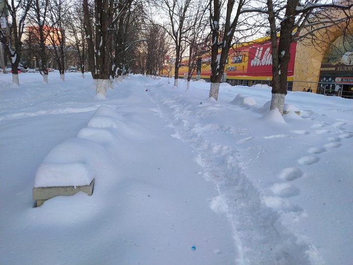     Фото: Алексей Петров