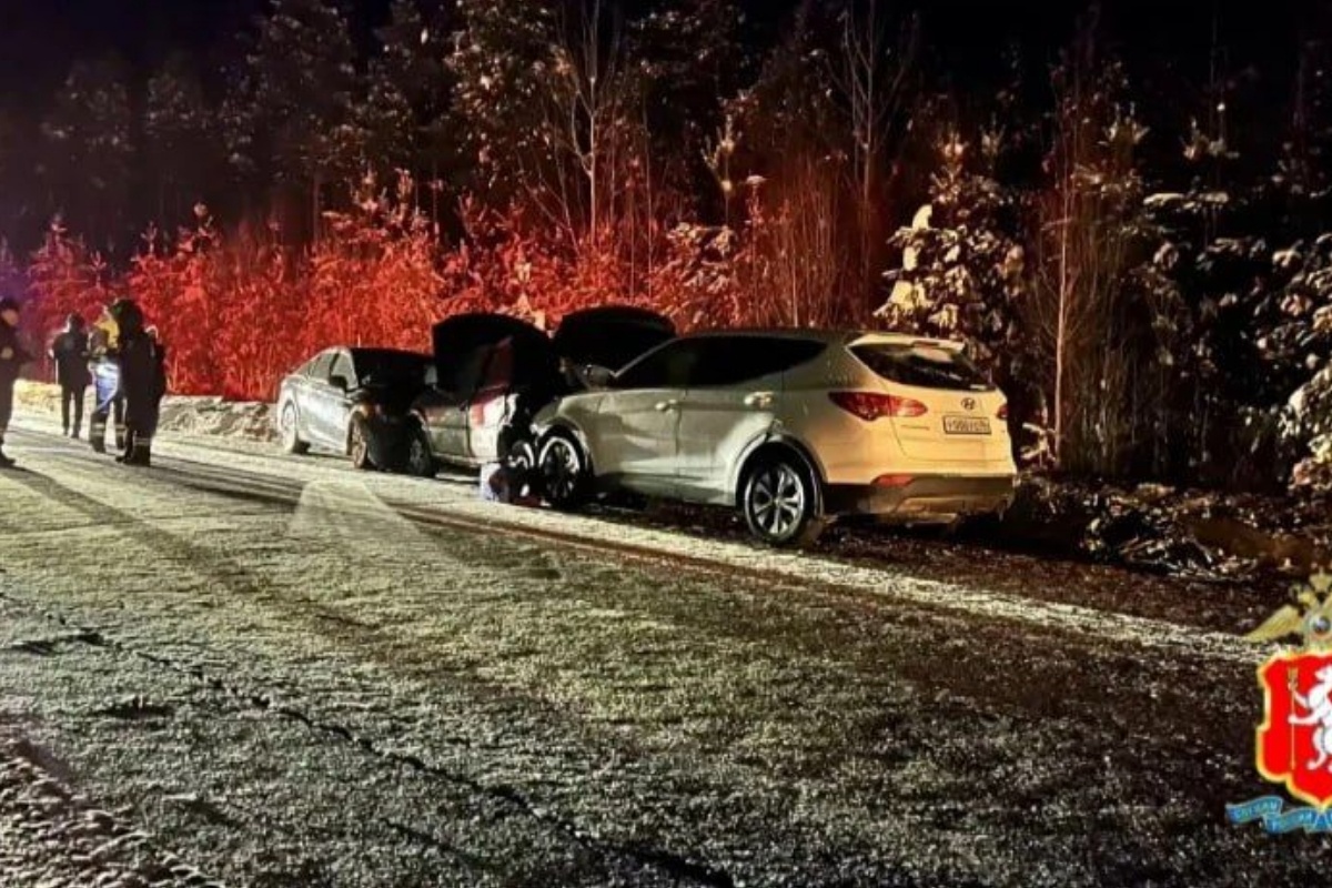   Фото: Госавтоинспекция Свердловской области