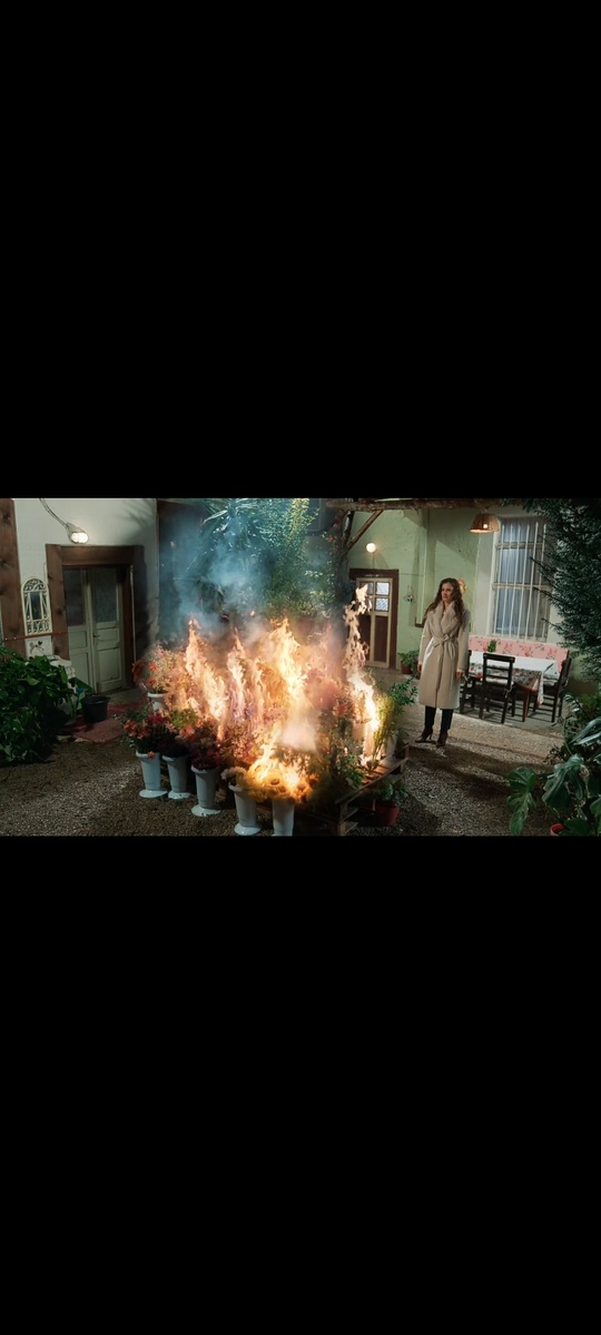 Цветы горят в адском пламени. Розы и грехи! 