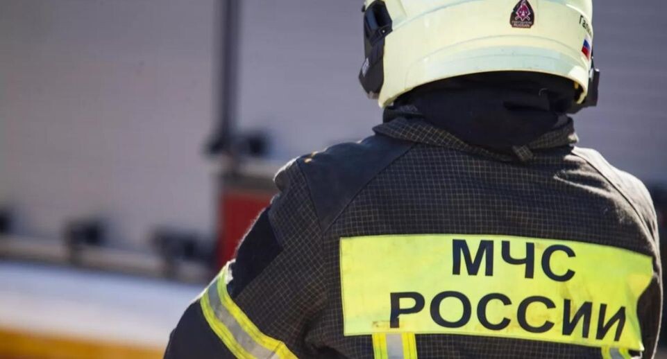    РИА «Новости»