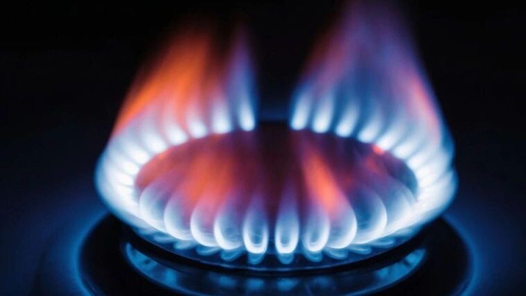    Фото: Stefan Balaz/Shutterstock/Fotodom