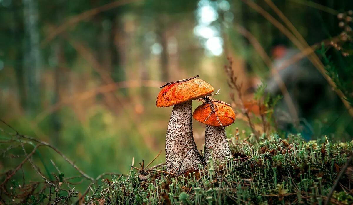 в отпуске все уних было хорошо