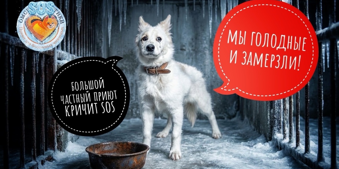 Животные заледенели и голодные!