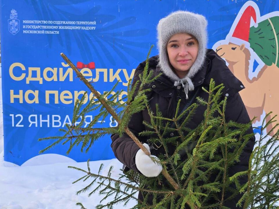    Фото: REGIONS/Яна Шаливская