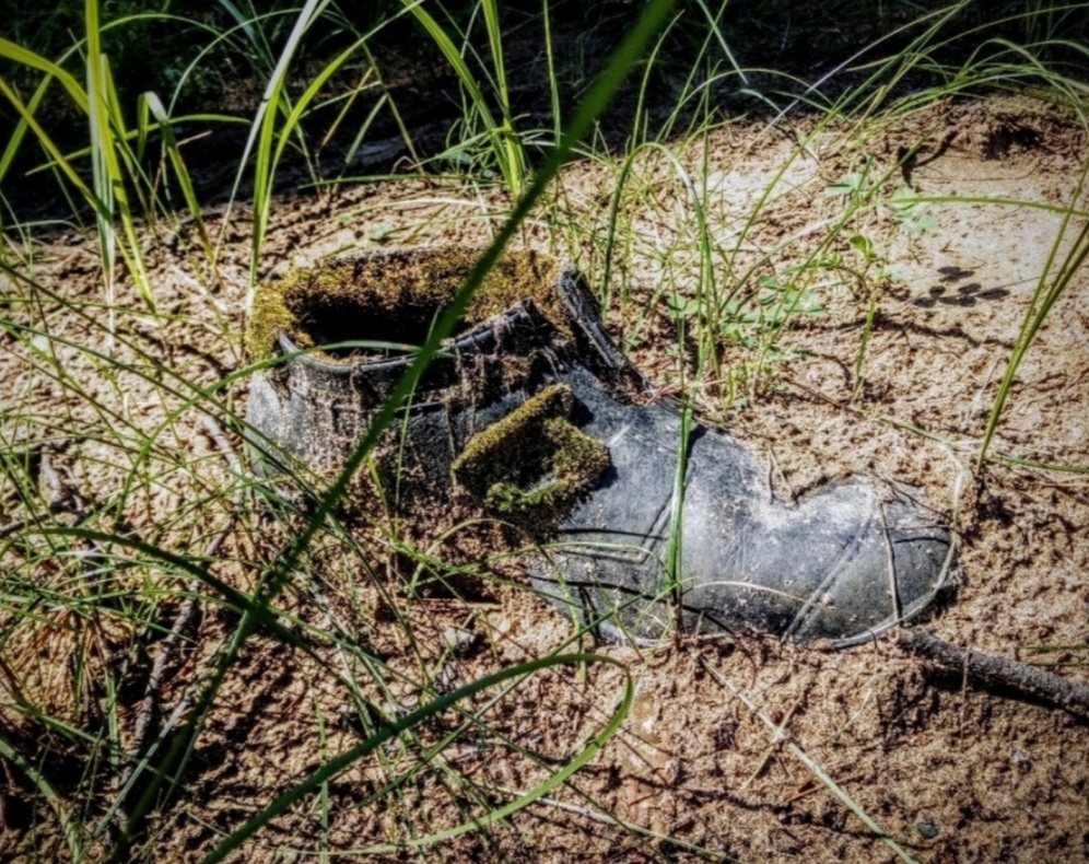 Как бы не увязнуть в болоте собственного величия вместо Перехода к небожителям.... 