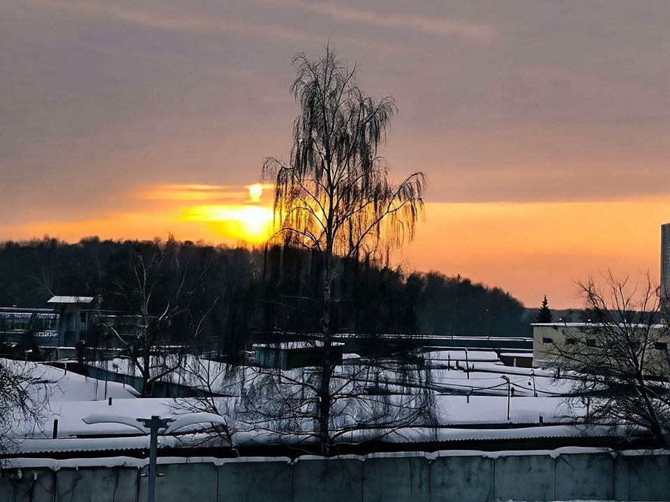    Фото: REGIONS/Роман Малышенко