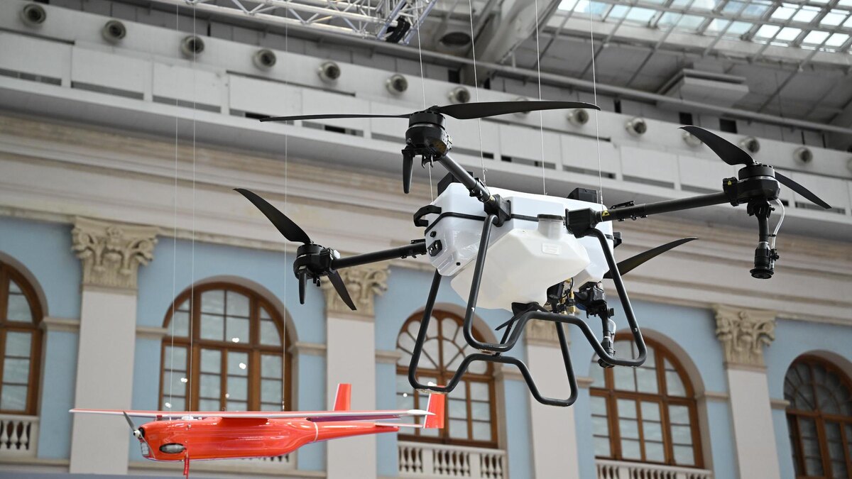    KomsomolskayaPravda/globallookpress.com