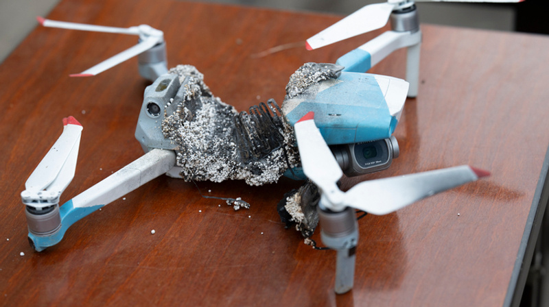     dpa/picture-alliance