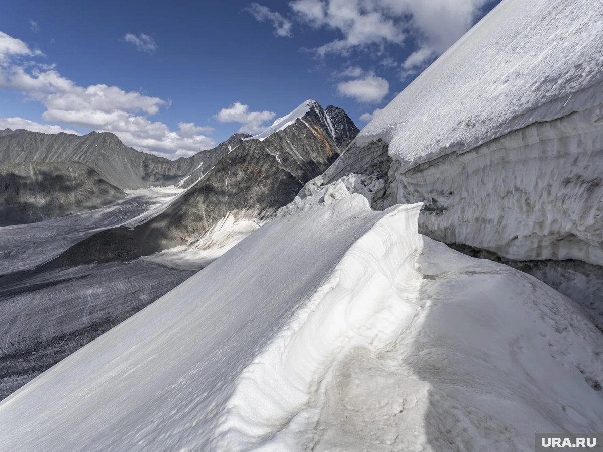     Трамп хочет, чтобы Гренландия отошла США