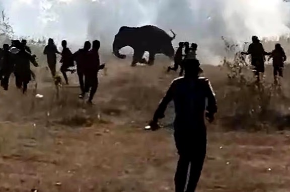 Жители деревни спасаются от разъярённого слона в округе Западный Сингхбхум штата Джаркханд.