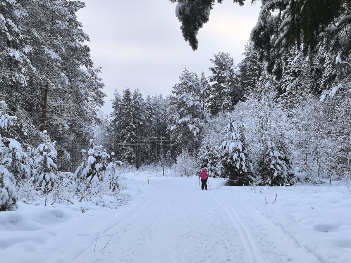 Тяжелые погодные условия мешают поискам.  Фото: ФедералПресс / Ксения Кобалия