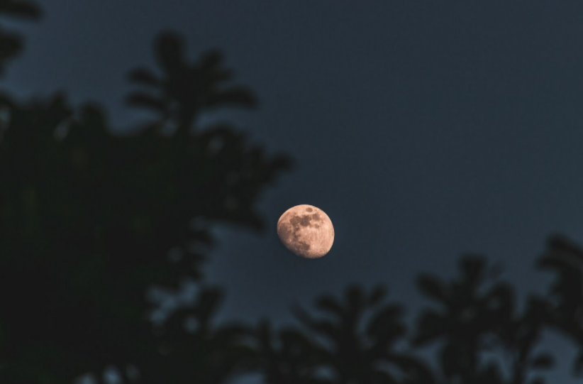 Фото: freepik / wirestock